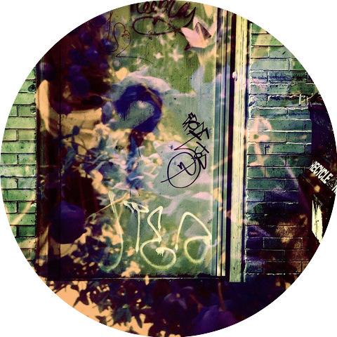 Palm Trees in Moscow