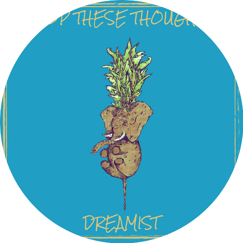 Dreamist
