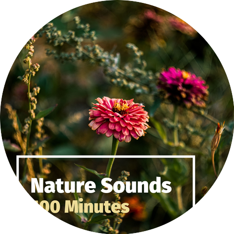 Deep Zen Ambient