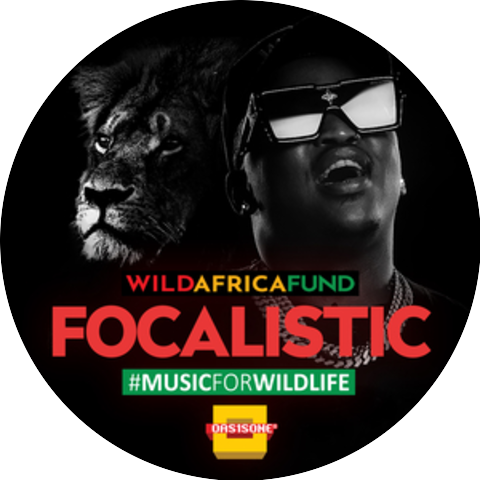 Focalistic