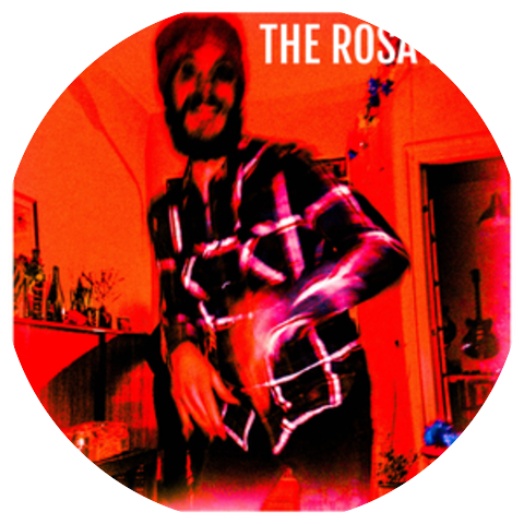 The Rosa Riot