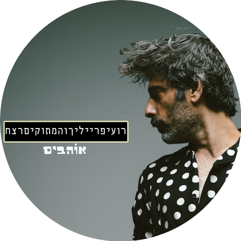 רועי פרייליך