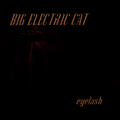 Big Electric Cat