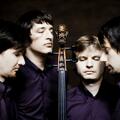 Apollon Musagete Quartett
