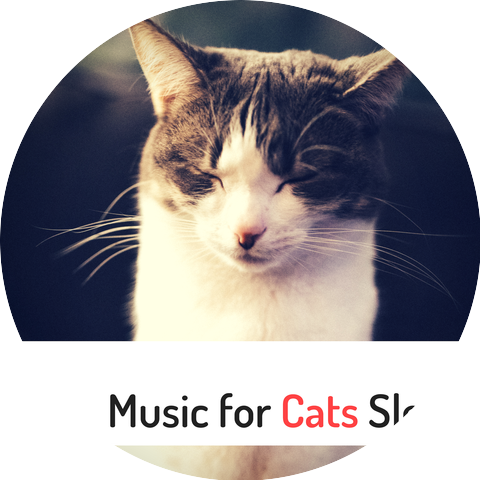 Pet Care Relaxing Companion