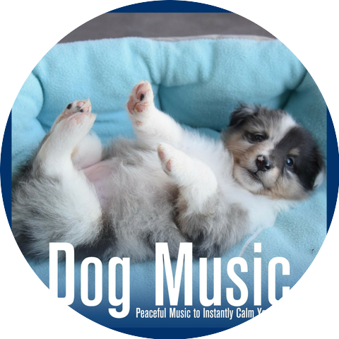 RelaxMyDog & Dog Music Dreams