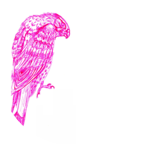 The Secret Sound of Dreamwalkers