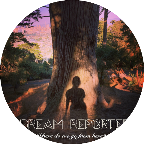 Dream Reporter