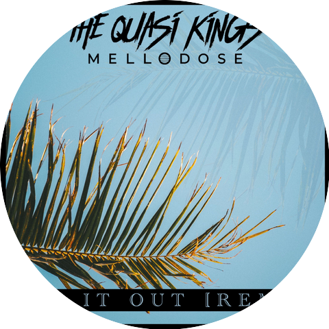 The Quasi Kings