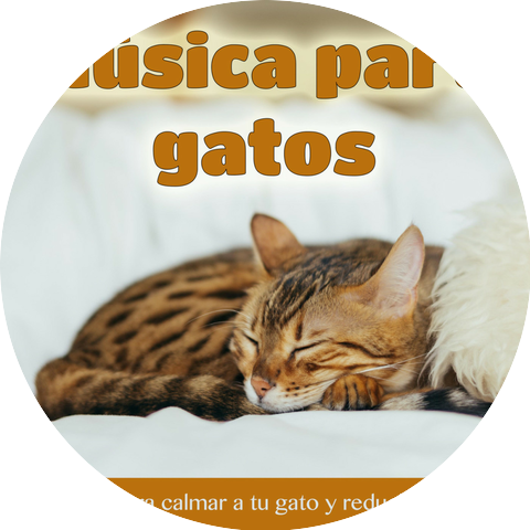 Cat Music Dreams & RelaxMyCat