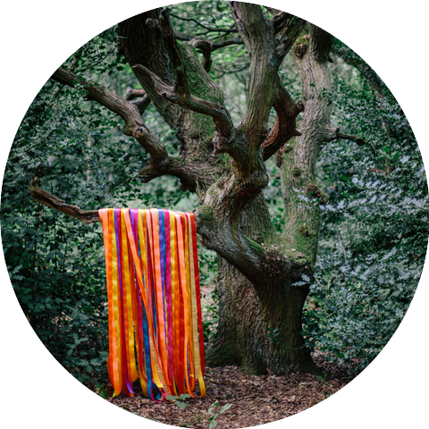James Holden & The Animal Spirits