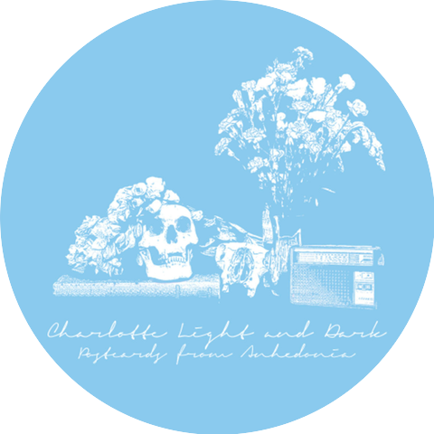 Charlotte Light and Dark