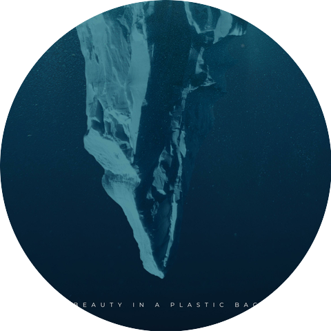 Beauty in a Plastic Bag