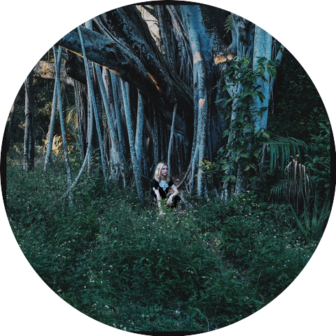 Vesper Wood