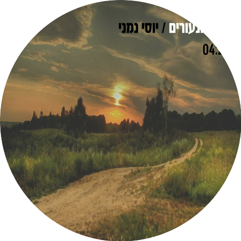 Yossi Nimni