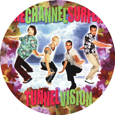 The Channelsurfers