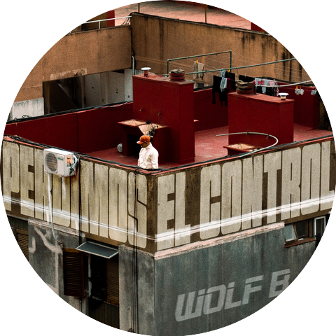 Wolf B