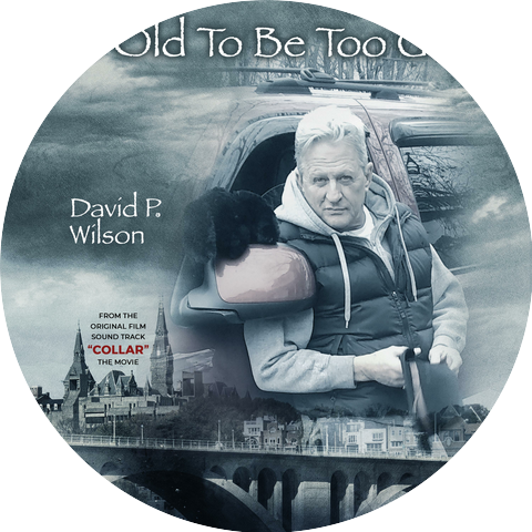 David P Wilson