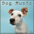 Dog Music & Dog Music Library & Sleeping Music For Dogs