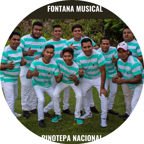 Fontana Musical