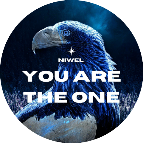 Niwel