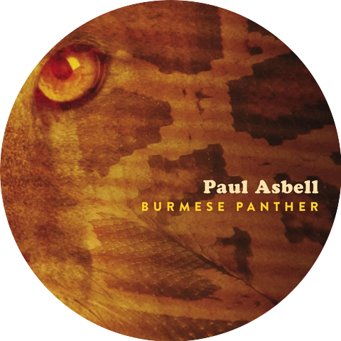 Paul Asbell