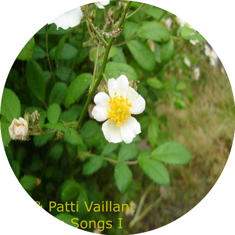 Ron & Patti Vaillant