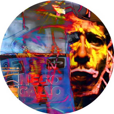 Nego Gallo