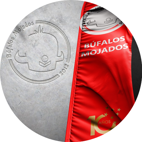 Mauro Bastidas
