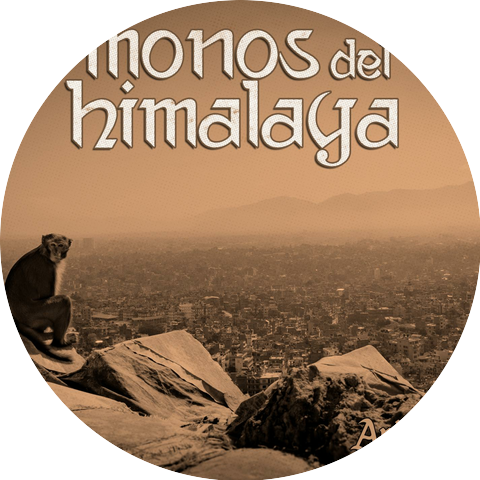 Monos del Himalaya