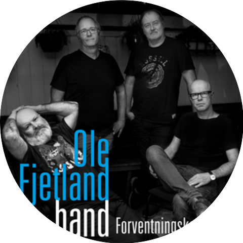 Ole Fjetland band