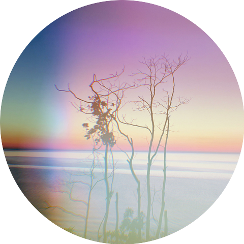 Lake Soda
