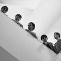 Mark Sharp & the Bicycle Thieves