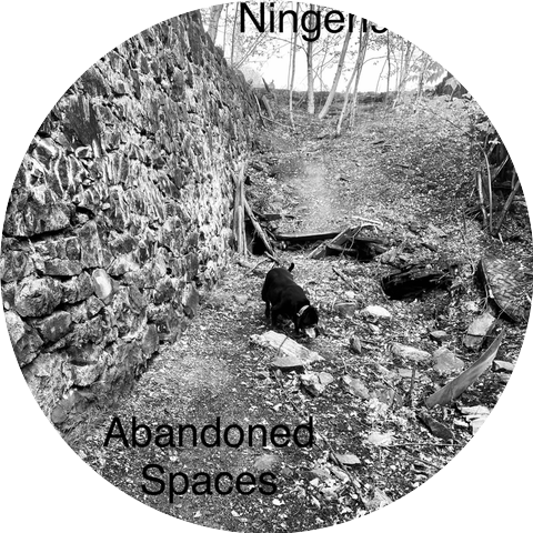 Ningen9