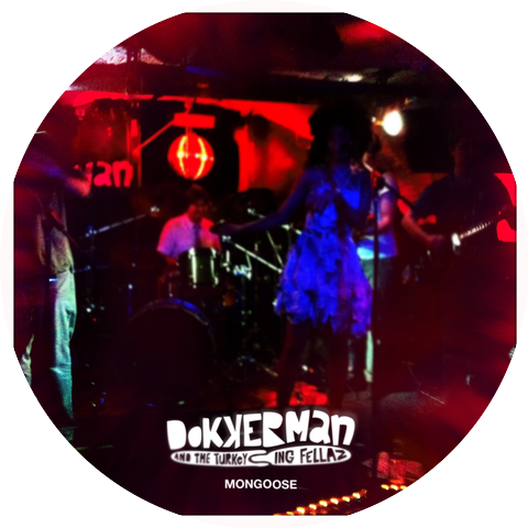 Dokkerman & the Turkeying Fellaz