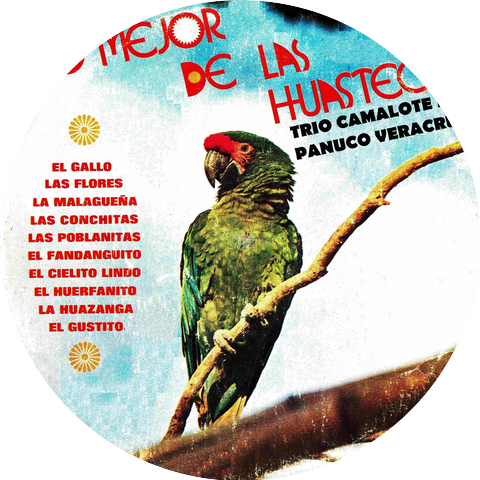 Trio Camalote De Panuco Veracruz