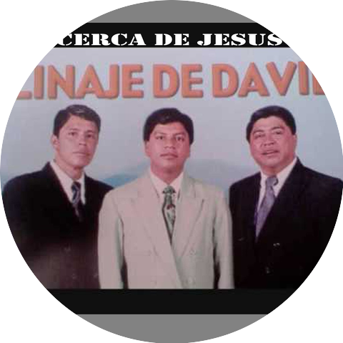 Linaje De David