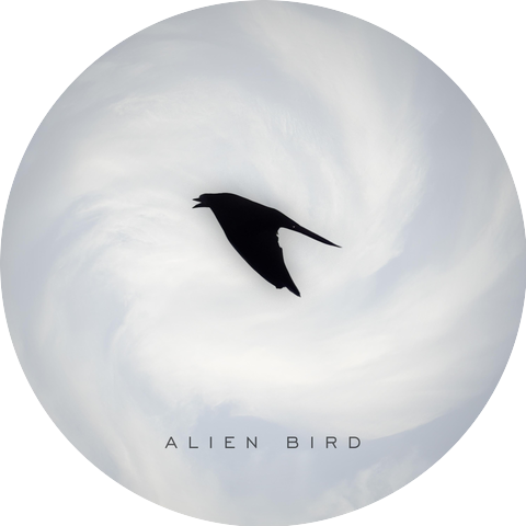 Alien Bird