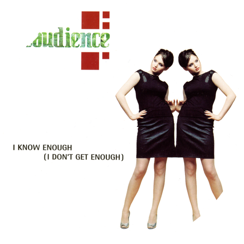 theaudience