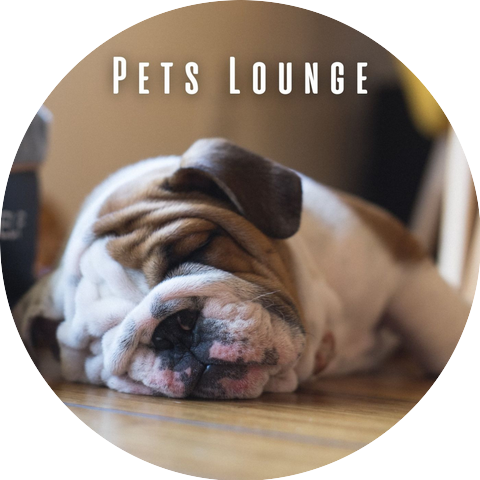 Chilled Jazz Atmosphere