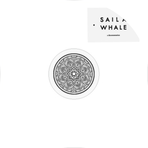 Sail A Whale