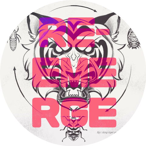 King Tiger Zero