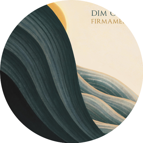 Dim Gray