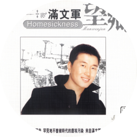 Man Wenjun