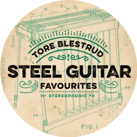Tore Blestrud
