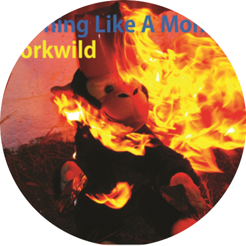 Torkwild