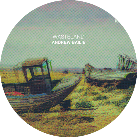 Andrew Bailie