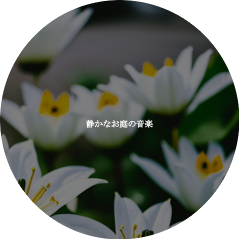 Elevator Background Music Sensation