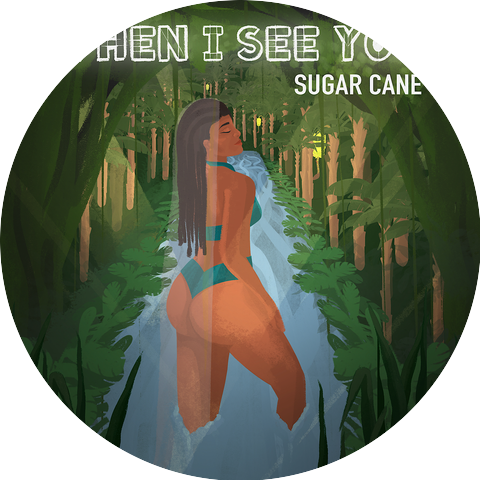 Sugar Cane