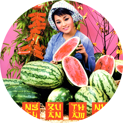 Trang Thanh Lan